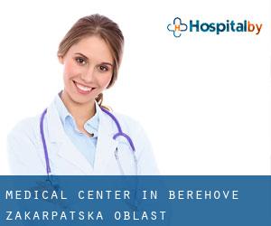 Medical Center in Berehove (Zakarpats’ka Oblast’)