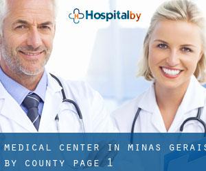 Medical Center in Minas Gerais by County - page 1