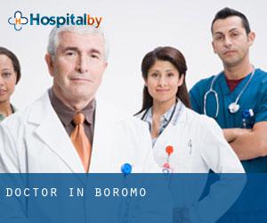 Doctor in Boromo
