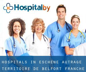 hospitals in Eschêne-Autrage (Territoire de Belfort, Franche-Comté)