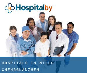 hospitals in Miluo Chengguanzhen