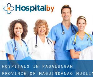 hospitals in Pagaluñgan (Province of Maguindanao, Muslim Mindanao)