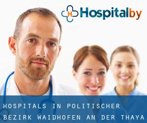 hospitals in Politischer Bezirk Waidhofen an der Thaya