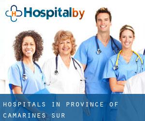 hospitals in Province of Camarines Sur
