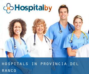 hospitals in Provincia del Ranco