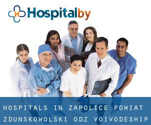 hospitals in Zapolice (Powiat zduńskowolski, Łódź Voivodeship)