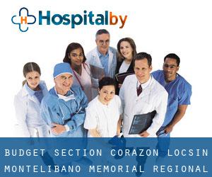 Budget Section - Corazon Locsin Montelibano Memorial Regional Hospital (Bacolod City)