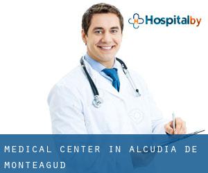 Medical Center in Alcudia de Monteagud