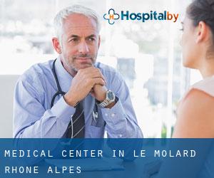 Medical Center in Le Molard (Rhône-Alpes)
