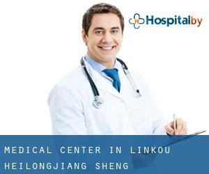 Medical Center in Linkou (Heilongjiang Sheng)