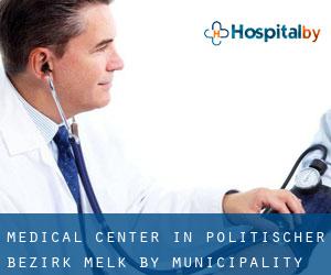 Medical Center in Politischer Bezirk Melk by municipality - page 1