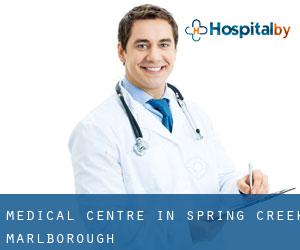 Medical Centre in Spring Creek (Marlborough)
