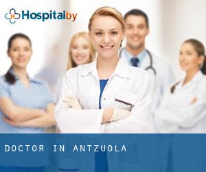 Doctor in Antzuola