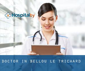 Doctor in Bellou-le-Trichard