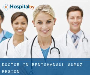 Doctor in Benishangul-Gumuz Region