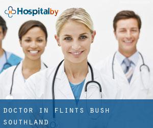 Doctor in Flints Bush (Southland)