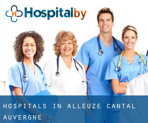 hospitals in Alleuze (Cantal, Auvergne)