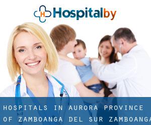 hospitals in Aurora (Province of Zamboanga del Sur, Zamboanga Peninsula)