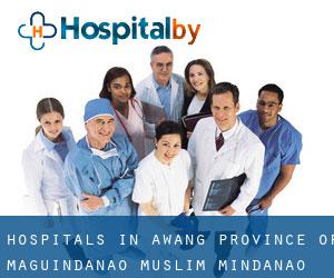 hospitals in Awang (Province of Maguindanao, Muslim Mindanao)