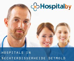 hospitals in Bechterdisserheide (Detmold District, North Rhine-Westphalia)