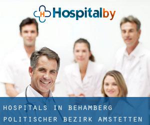 hospitals in Behamberg (Politischer Bezirk Amstetten, Lower Austria)