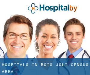 hospitals in Bois-Joli (census area)