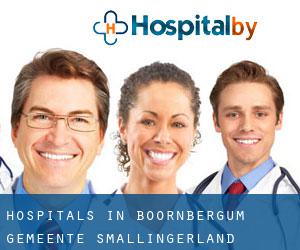 hospitals in Boornbergum (Gemeente Smallingerland, Friesland)