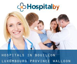 hospitals in Bouillon (Luxembourg Province, Walloon Region)