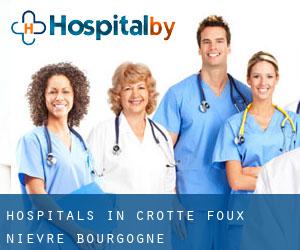 hospitals in Crotte Foux (Nièvre, Bourgogne)