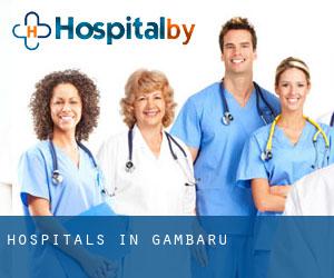 hospitals in Gambaru