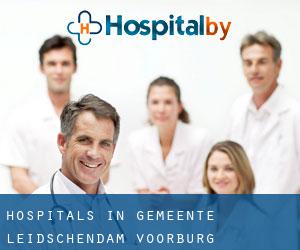 hospitals in Gemeente Leidschendam-Voorburg