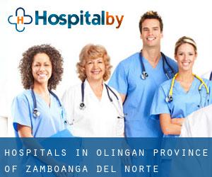 hospitals in Olingan (Province of Zamboanga del Norte, Zamboanga Peninsula)