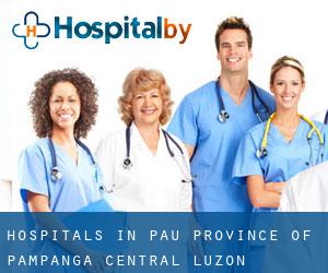 hospitals in Pau (Province of Pampanga, Central Luzon)