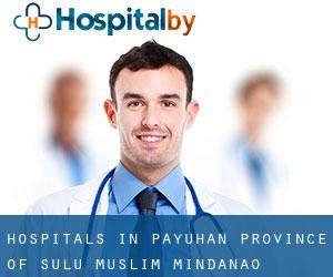 hospitals in Payuhan (Province of Sulu, Muslim Mindanao)