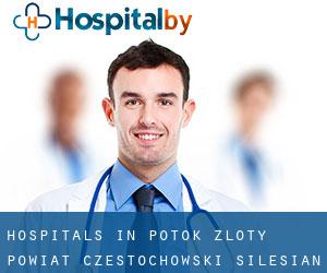 hospitals in Potok Złoty (Powiat częstochowski, Silesian Voivodeship)