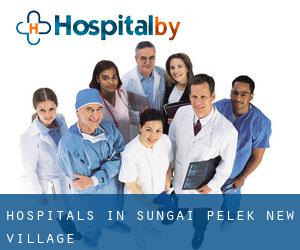 hospitals in Sungai Pelek New Village hospitals in Sungai Pelek New Village