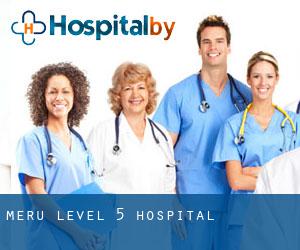 Meru level 5 hospital